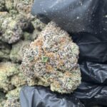 LEMON CHERRY GELATO(259) $825